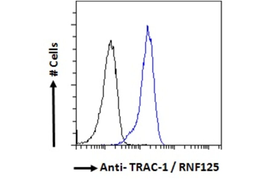 Flow Cytometry - Anti-RNF125 Antibody (A121155) - Antibodies.com