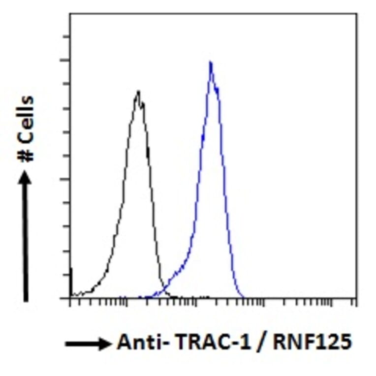 Flow Cytometry - Anti-RNF125 Antibody (A121155) - Antibodies.com