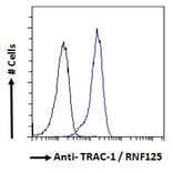 Flow Cytometry - Anti-RNF125 Antibody (A121155) - Antibodies.com