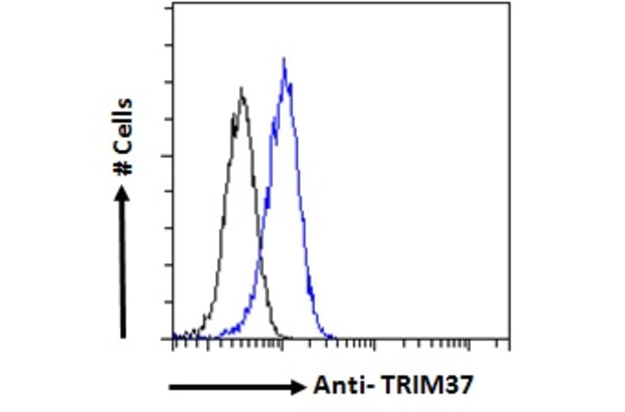 Flow Cytometry - Anti-TRIM37 Antibody (A121156) - Antibodies.com