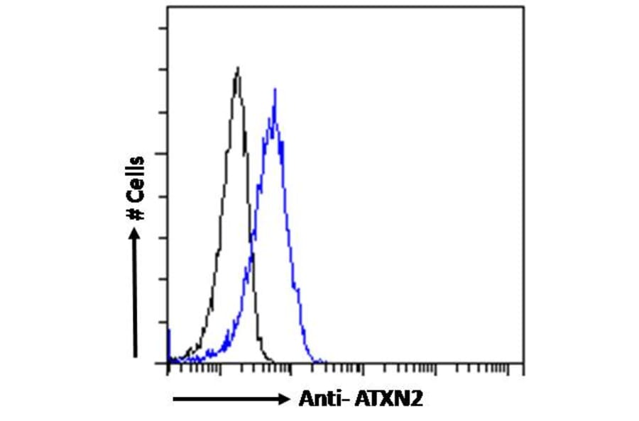 Flow Cytometry - Anti-SCA2 Antibody (A121157) - Antibodies.com