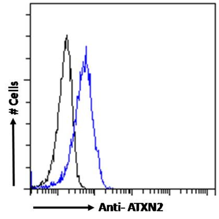 Flow Cytometry - Anti-SCA2 Antibody (A121157) - Antibodies.com