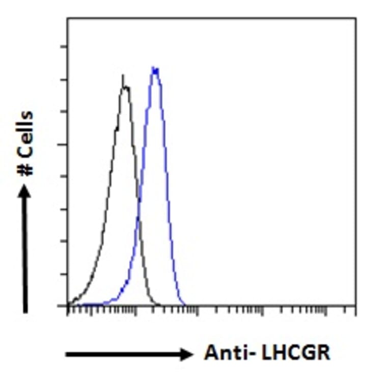 Flow Cytometry - Anti-hCG Receptor/LHR Antibody (A121158) - Antibodies.com