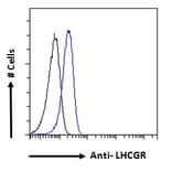 Flow Cytometry - Anti-hCG Receptor/LHR Antibody (A121158) - Antibodies.com