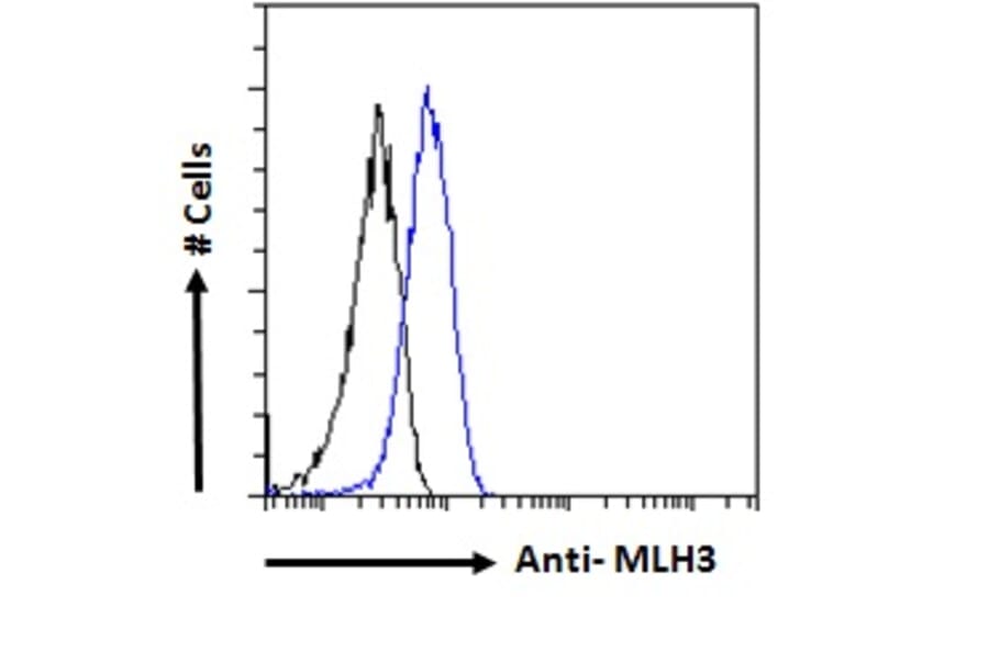 Flow Cytometry - Anti-MLH3 Antibody (A121163) - Antibodies.com
