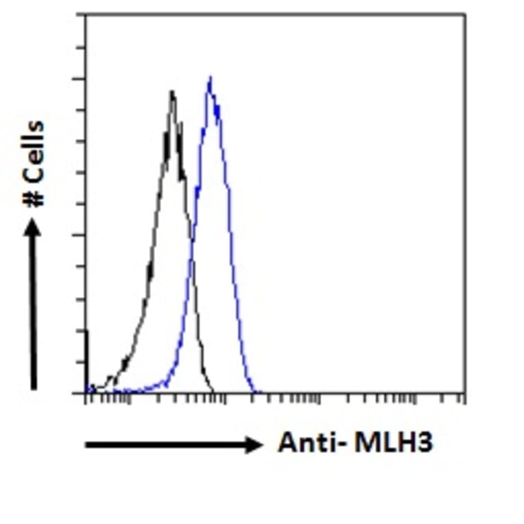 Flow Cytometry - Anti-MLH3 Antibody (A121163) - Antibodies.com