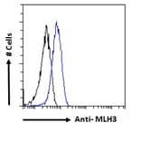 Flow Cytometry - Anti-MLH3 Antibody (A121163) - Antibodies.com