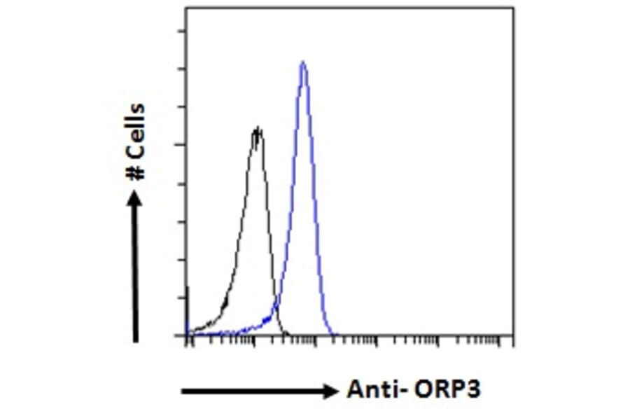 Flow Cytometry - Anti-ORP-3 Antibody (A121164) - Antibodies.com