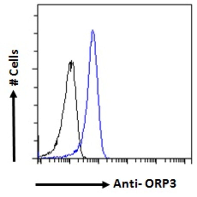 Flow Cytometry - Anti-ORP-3 Antibody (A121164) - Antibodies.com