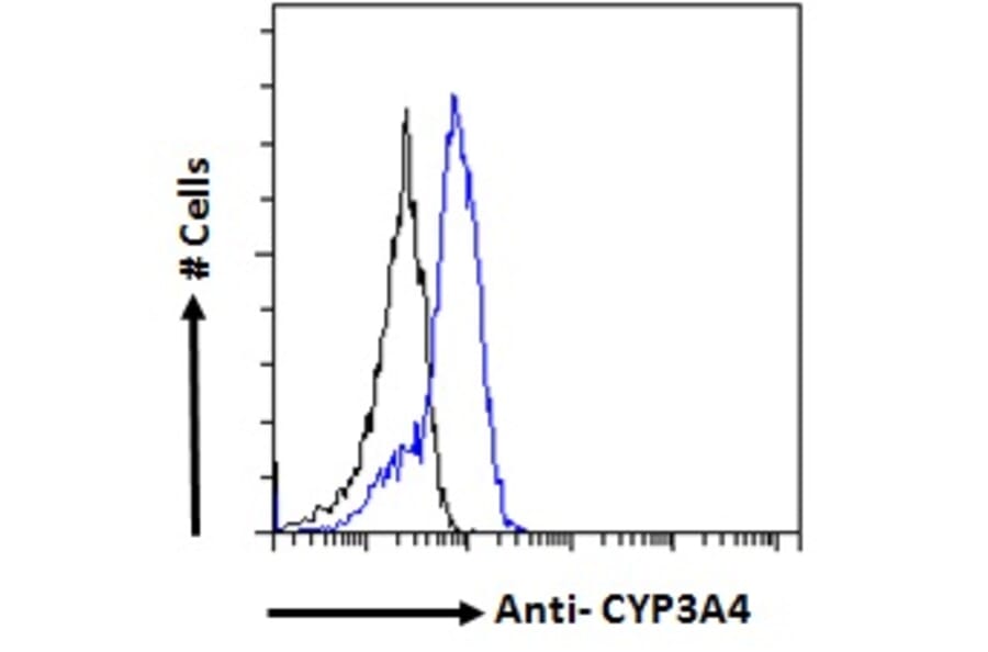 Flow Cytometry - Anti-Cytochrome P450 3A4/CYP3A4 Antibody (A121165) - Antibodies.com