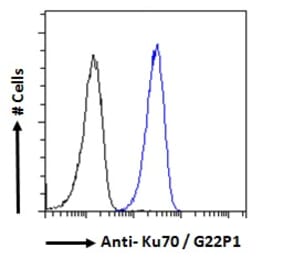 Flow Cytometry - Anti-Ku70 Antibody (A121171)