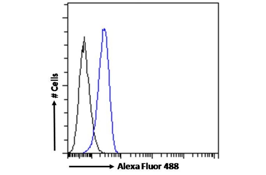 Flow Cytometry - Anti-TLR4 Antibody (A121173) - Antibodies.com