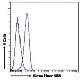 Flow Cytometry - Anti-TLR4 Antibody (A121173) - Antibodies.com