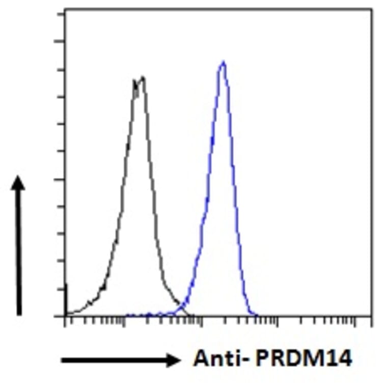 Flow Cytometry - Anti-PRDM14 Antibody (A121177) - Antibodies.com