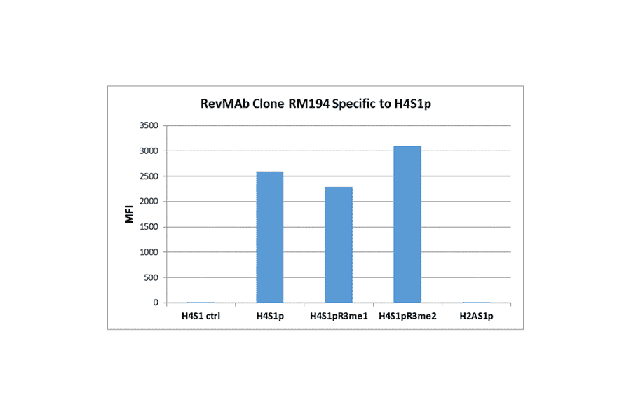 Multiplex Immunoassay - Anti-Histone H4 (phospho Ser1) Antibody [RM194] (A121195) - Antibodies.com