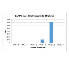 Multiplex Immunoassay - Anti-Histone H4 (mono methyl Lys20) Antibody [RM208] (A121216) - Antibodies.com