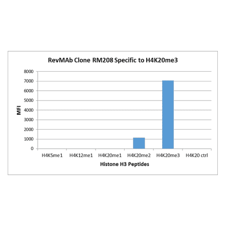 Multiplex Immunoassay - Anti-Histone H4 (mono methyl Lys20) Antibody [RM208] (A121216) - Antibodies.com