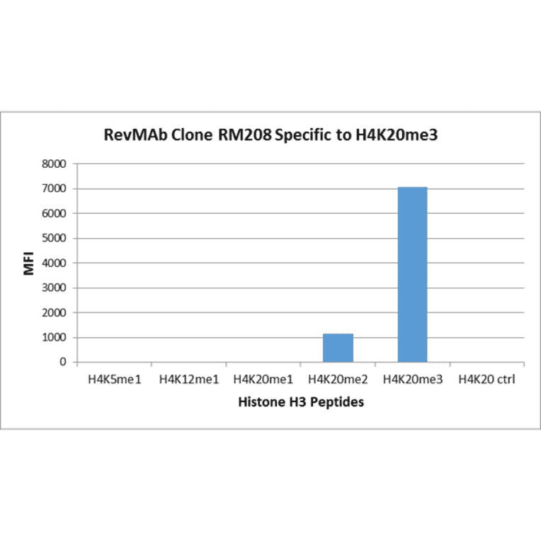 Multiplex Immunoassay - Anti-Histone H4 (mono methyl Lys20) Antibody [RM208] (A121216) - Antibodies.com