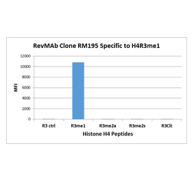 Multiplex Immunoassay - Anti-Histone H4 (mono methyl Arg3) Antibody [RM195] (A121197) - Antibodies.com