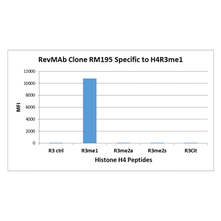 Multiplex Immunoassay - Anti-Histone H4 (mono methyl Arg3) Antibody [RM195] (A121197) - Antibodies.com