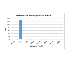 Multiplex Immunoassay - Anti-Histone H4 (acetyl Lys5) Antibody [RM199] (A121199) - Antibodies.com