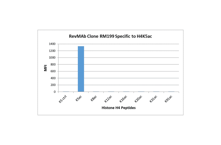 Multiplex Immunoassay - Anti-Histone H4 (acetyl Lys5) Antibody [RM199] (A121199) - Antibodies.com