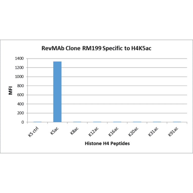 Multiplex Immunoassay - Anti-Histone H4 (acetyl Lys5) Antibody [RM199] (A121199) - Antibodies.com
