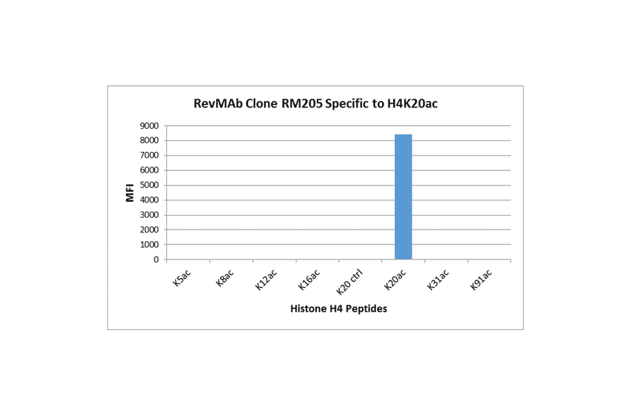 Multiplex Immunoassay - Anti-Histone H4 (acetyl Lys20) Antibody [RM205] (A121200) - Antibodies.com