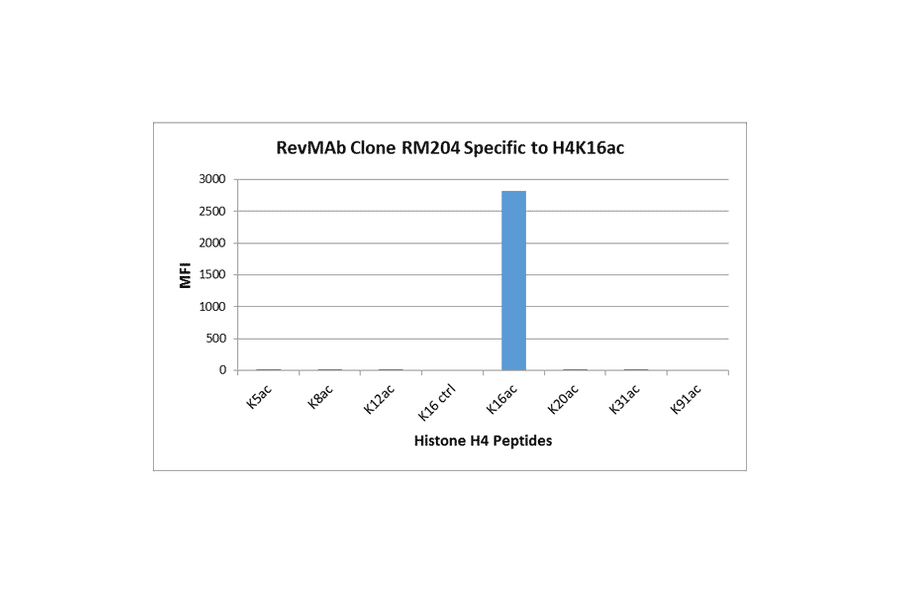 Multiplex Immunoassay - Anti-Histone H4 (acetyl Lys16) Antibody [RM204] (A121198) - Antibodies.com