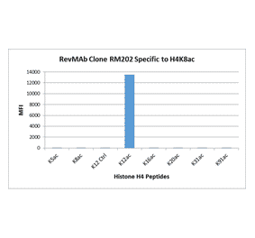 Multiplex Immunoassay - Anti-Histone H4 (acetyl Lys12) Antibody [RM202] (A121202) - Antibodies.com