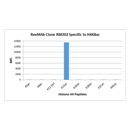 Multiplex Immunoassay - Anti-Histone H4 (acetyl Lys12) Antibody [RM202] (A121202) - Antibodies.com