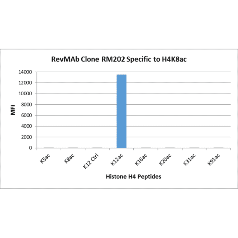 Multiplex Immunoassay - Anti-Histone H4 (acetyl Lys12) Antibody [RM202] (A121202) - Antibodies.com