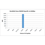 Multiplex Immunoassay - Anti-Histone H4 (acetyl Lys12) Antibody [RM202] (A121202) - Antibodies.com