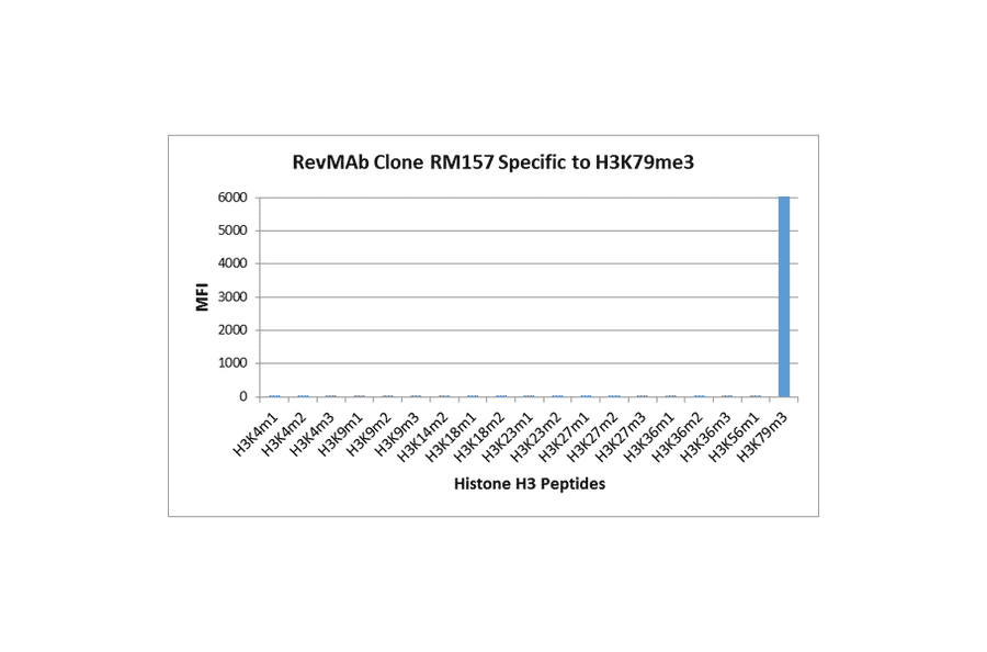Multiplex Immunoassay - Anti-Histone H3 (tri methyl Lys79) Antibody [RM157] (A121205) - Antibodies.com