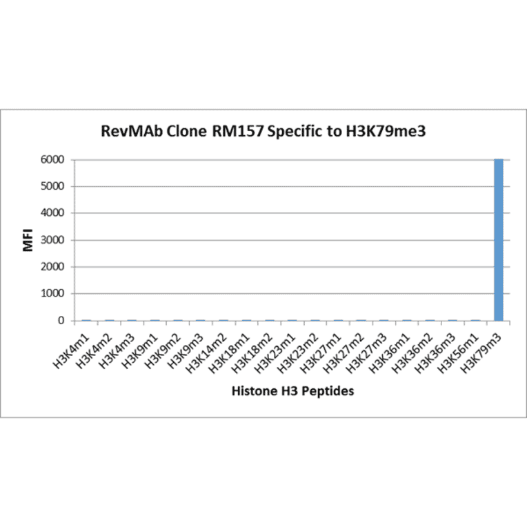 Multiplex Immunoassay - Anti-Histone H3 (tri methyl Lys79) Antibody [RM157] (A121205) - Antibodies.com
