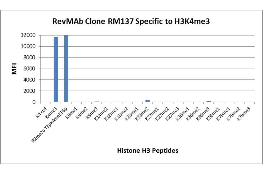Multiplex Immunoassay - Anti-Histone H3 (tri methyl Lys4) Antibody [RM137] (A121206) - Antibodies.com