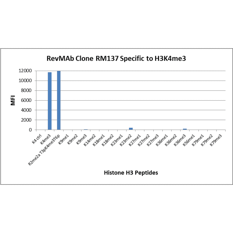 Multiplex Immunoassay - Anti-Histone H3 (tri methyl Lys4) Antibody [RM137] (A121206) - Antibodies.com