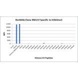 Multiplex Immunoassay - Anti-Histone H3 (tri methyl Lys4) Antibody [RM137] (A121206) - Antibodies.com