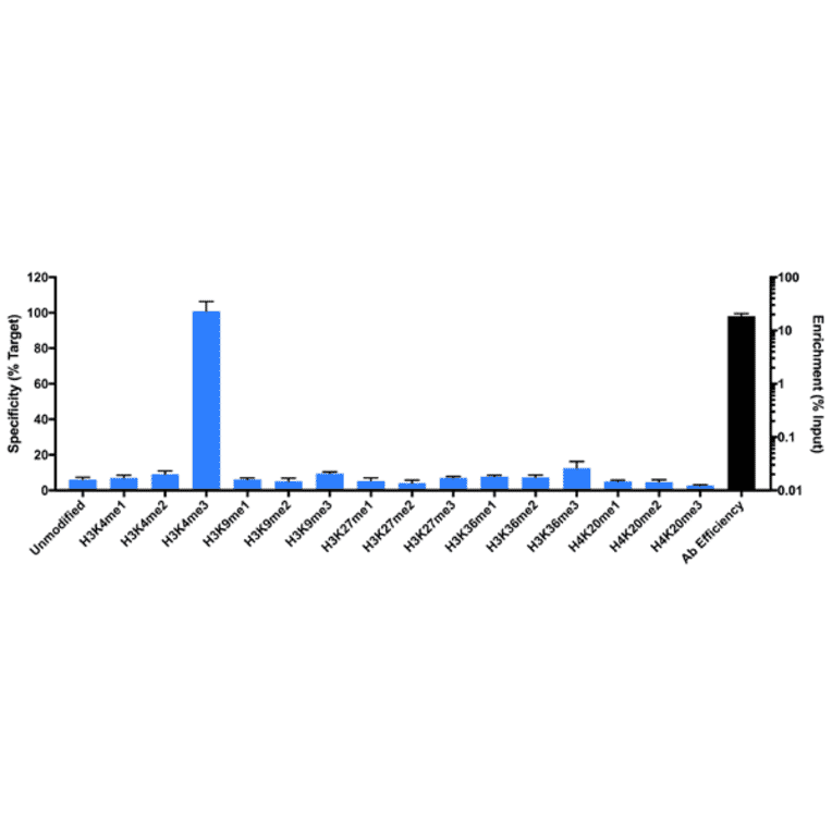 Chromatin Immunoprecipitation - Anti-Histone H3 (tri methyl Lys4) Antibody [RM340] (A121207) - Antibodies.com