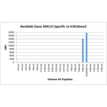 Multiplex Immunoassay - Anti-Histone H3 (tri methyl Lys36) Antibody [RM155] (A121208) - Antibodies.com