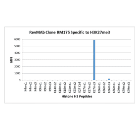Multiplex Immunoassay - Anti-Histone H3 (tri methyl Lys27) Antibody [RM175] (A121209) - Antibodies.com