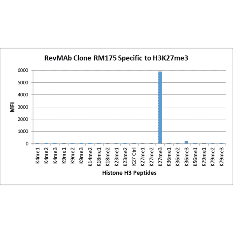 Multiplex Immunoassay - Anti-Histone H3 (tri methyl Lys27) Antibody [RM175] (A121209) - Antibodies.com