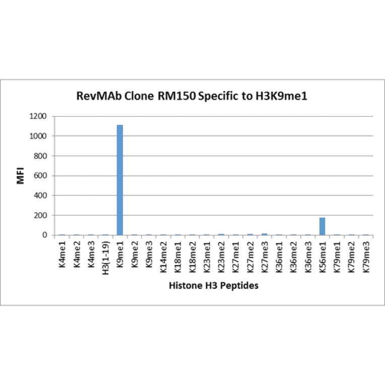 Multiplex Immunoassay - Anti-Histone H3 (mono methyl Lys9) Antibody [RM150] (A121214) - Antibodies.com