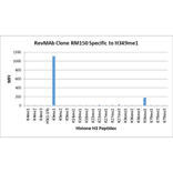 Multiplex Immunoassay - Anti-Histone H3 (mono methyl Lys9) Antibody [RM150] (A121214) - Antibodies.com