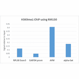 Chromatin Immunoprecipitation - Anti-Histone H3 (mono methyl Lys9) Antibody [RM150] (A121232) - Antibodies.com