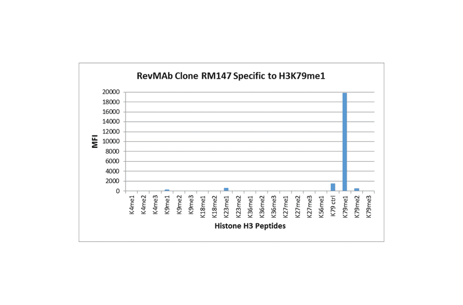 Multiplex Immunoassay - Anti-Histone H3 (mono methyl Lys79) Antibody [RM147] (A121215) - Antibodies.com