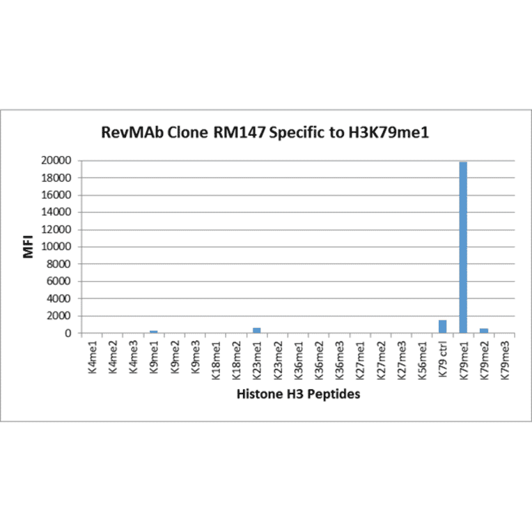 Multiplex Immunoassay - Anti-Histone H3 (mono methyl Lys79) Antibody [RM147] (A121215) - Antibodies.com