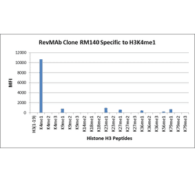 Multiplex Immunoassay - Anti-Histone H3 (mono methyl Lys4) Antibody [RM140] (A121217) - Antibodies.com