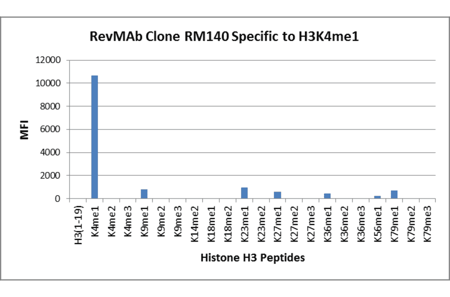 Multiplex Immunoassay - Anti-Histone H3 (mono methyl Lys4) Antibody [RM140] (A121217) - Antibodies.com