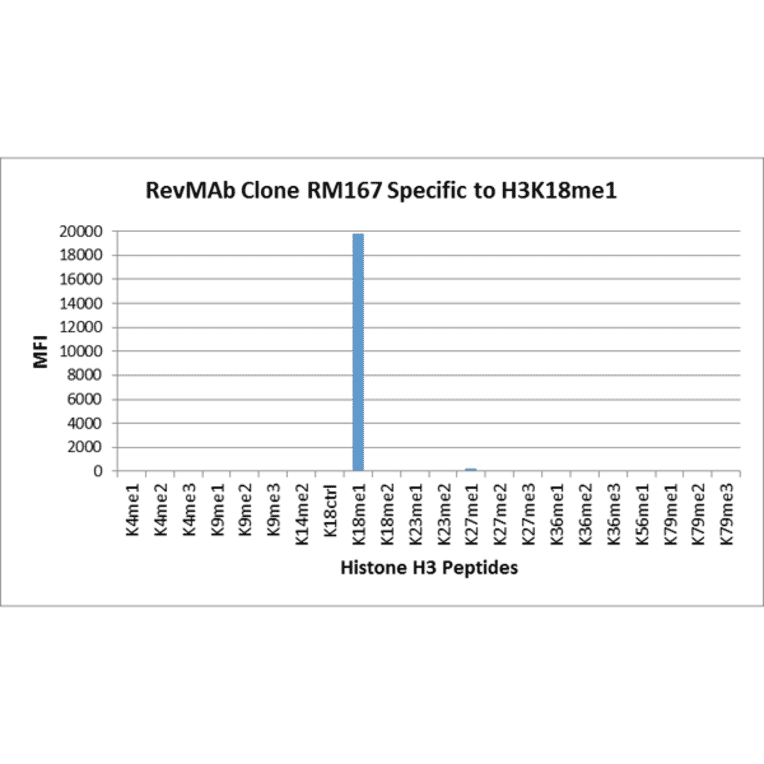 Multiplex Immunoassay - Anti-Histone H3 (mono methyl Lys18) Antibody [RM167] (A121225) - Antibodies.com